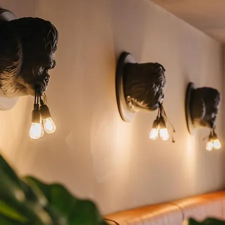 Ikyk Hotel- Ik Collection Hotel